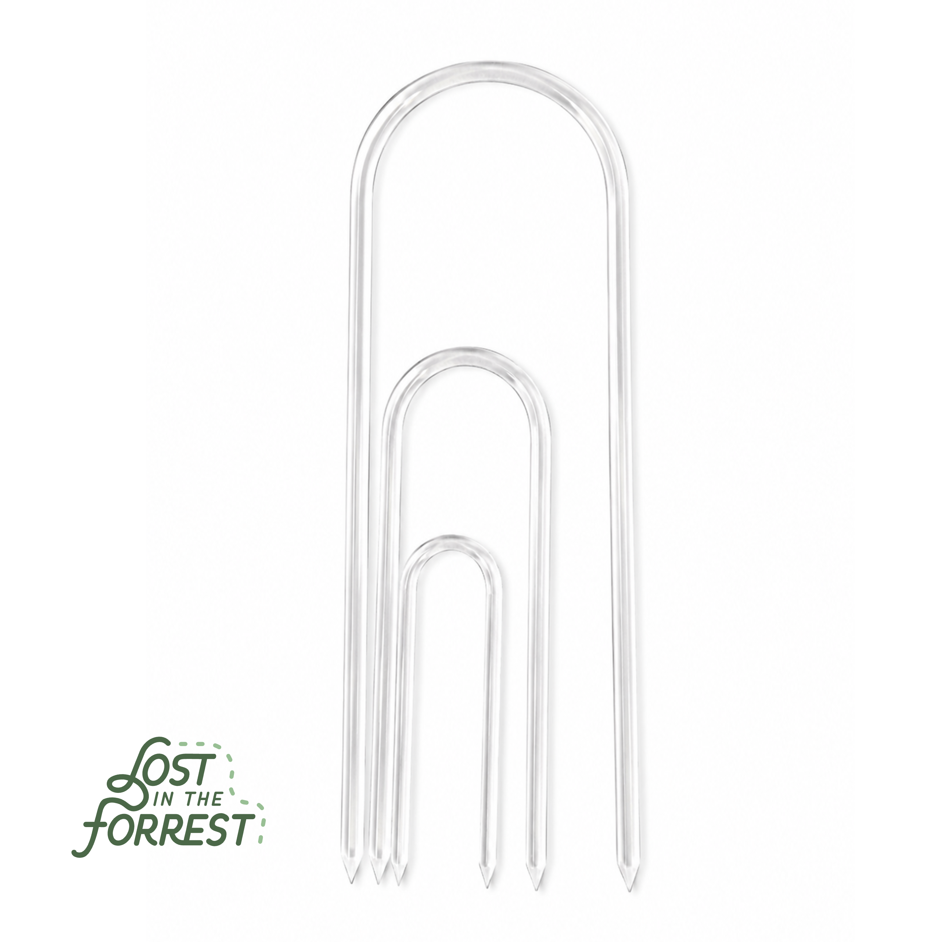 Glassvine Hoop