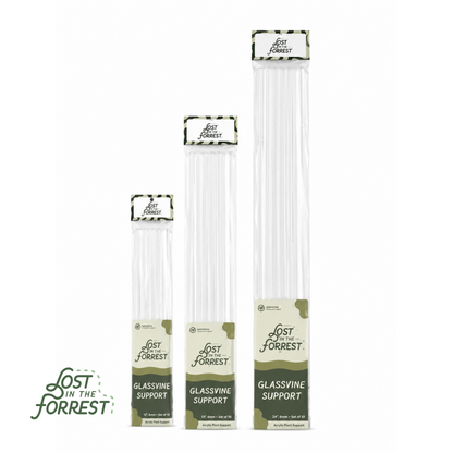 Glassvine Support