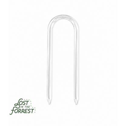 Glassvine Hoop