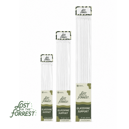Glassvine Support