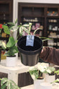 Nursery Pots