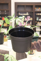Nursery Pots
