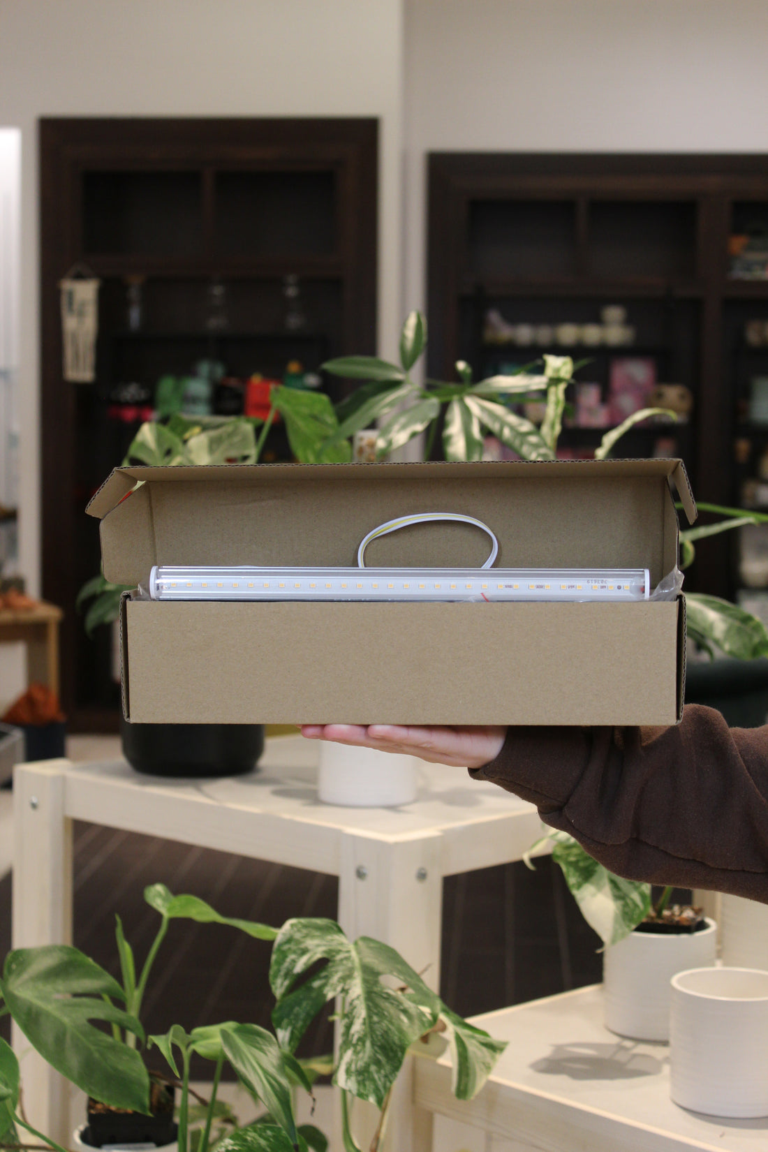 T5 Grow Light (Case of 4)