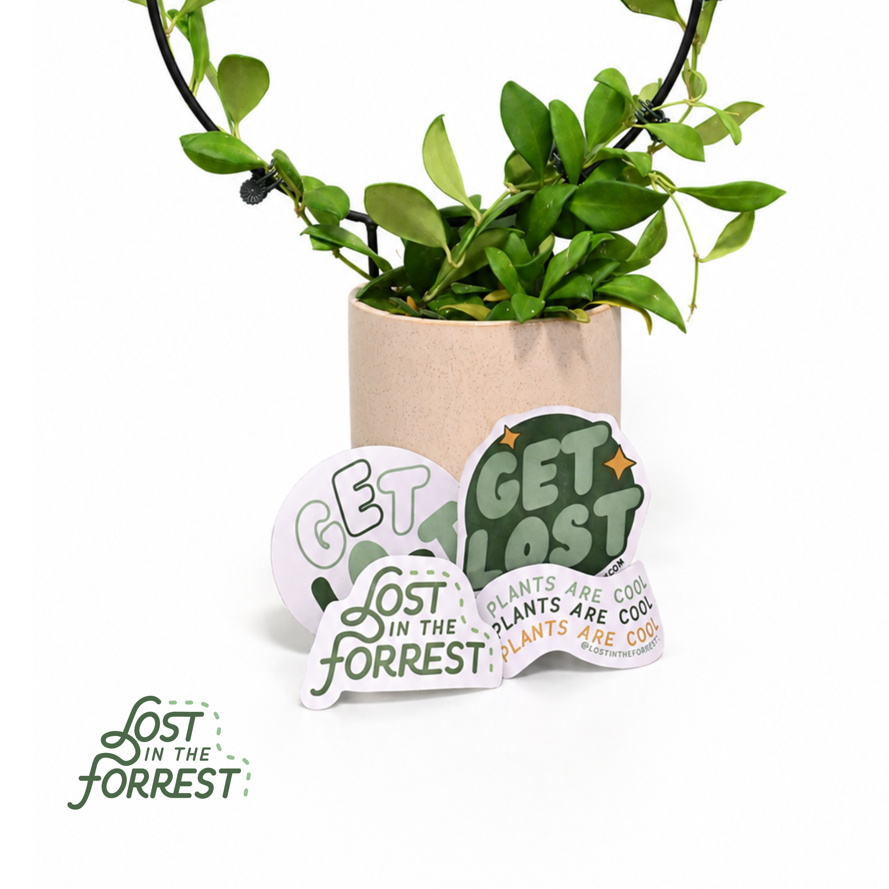Lost in the Forrest Sticker