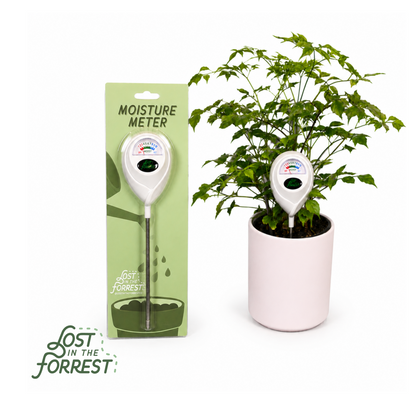 Moisture Meter