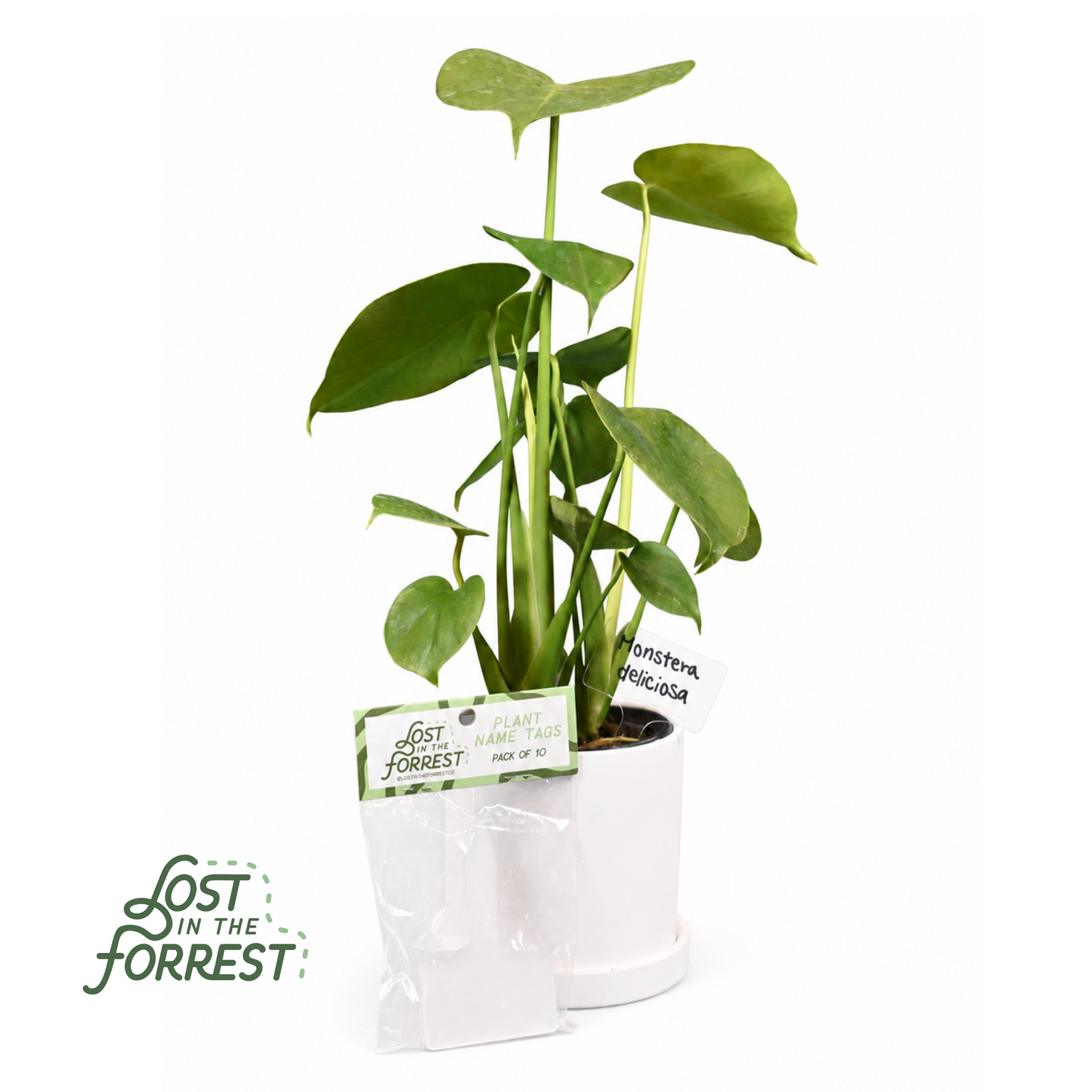 Plant Name Tags