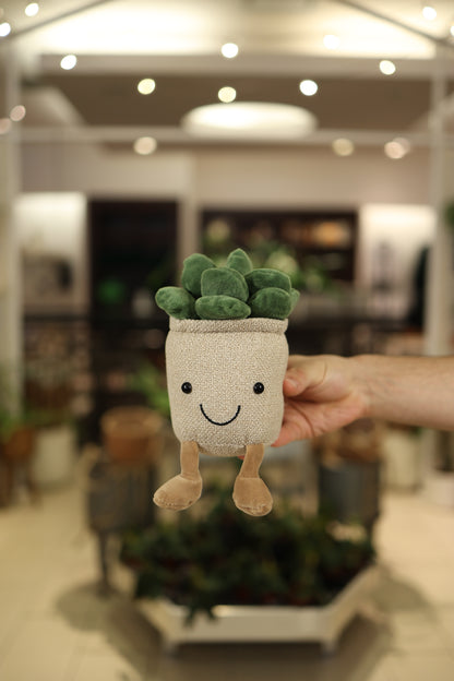 Potted Succulent Plush