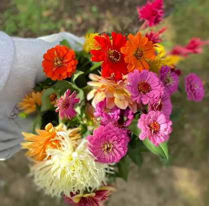 Seed Starting Class 3/23/24