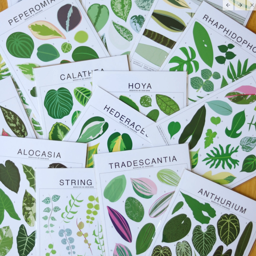 Species ID Chart - Botanical Houseplant Art Print