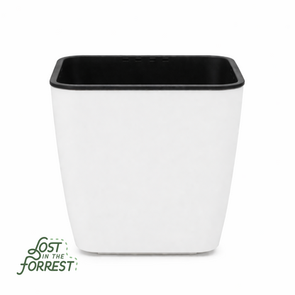 Self-Watering Pot