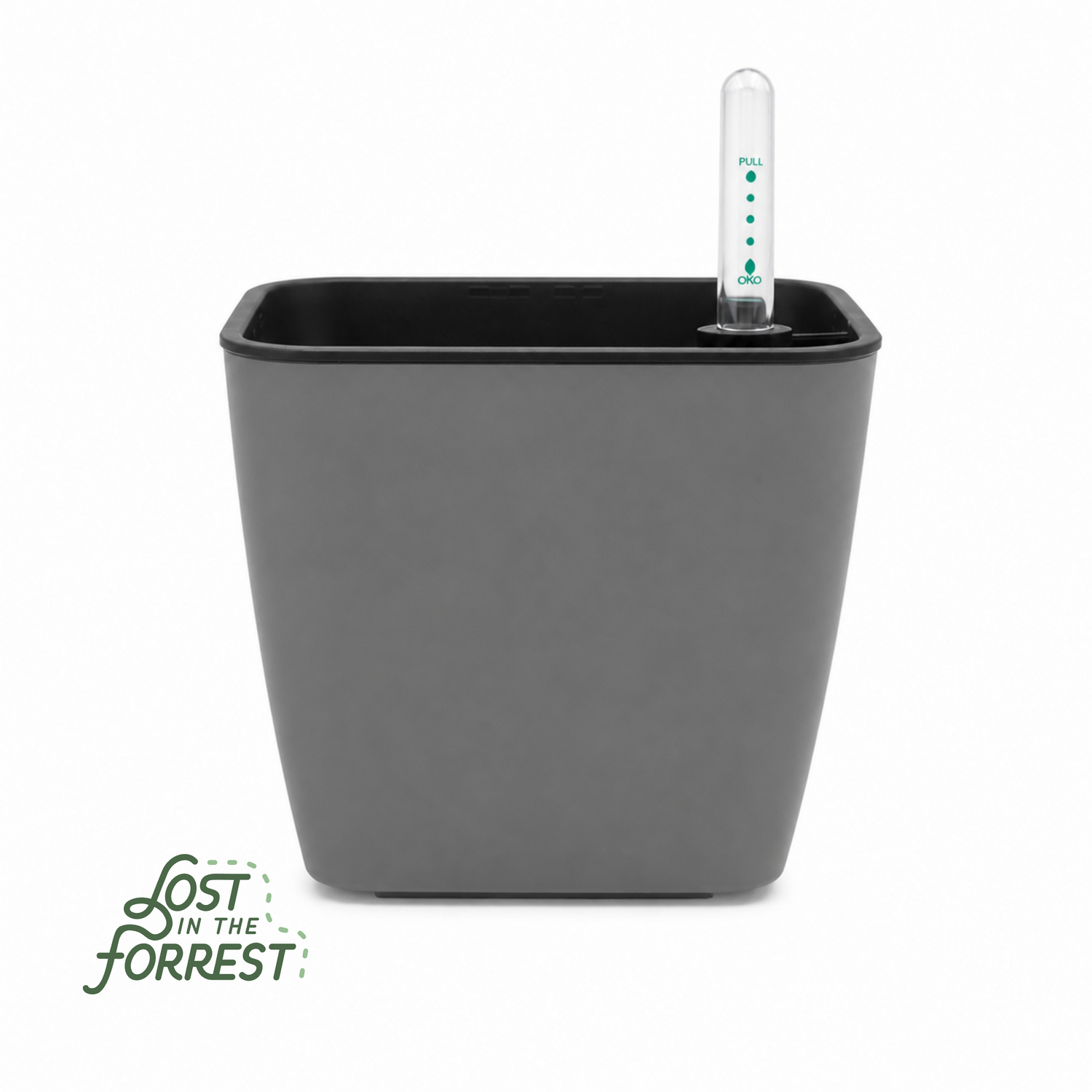 Self-Watering Pot