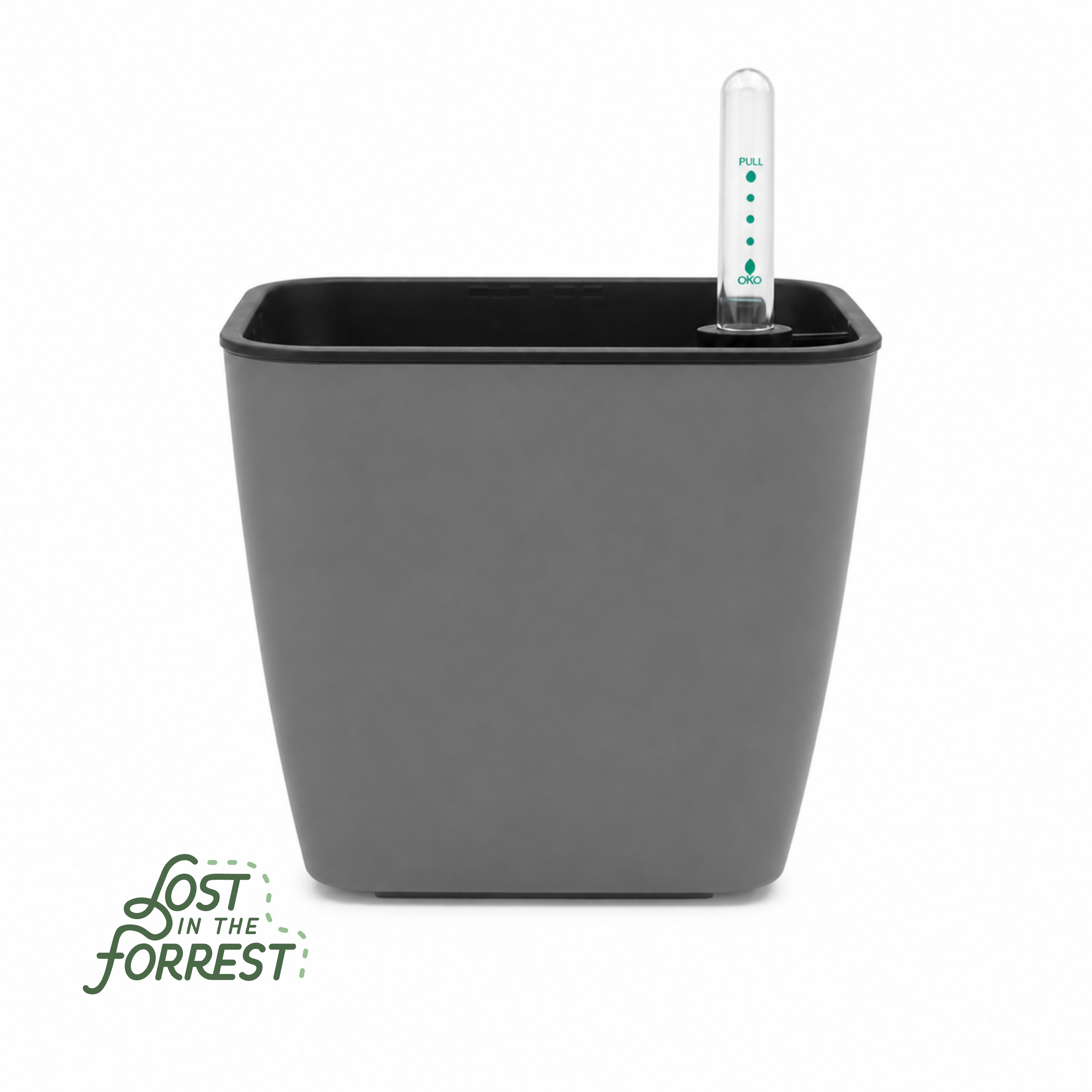 Self-Watering Pot