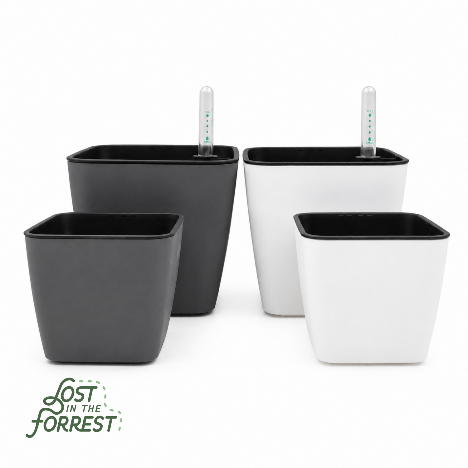 Self-Watering Pot