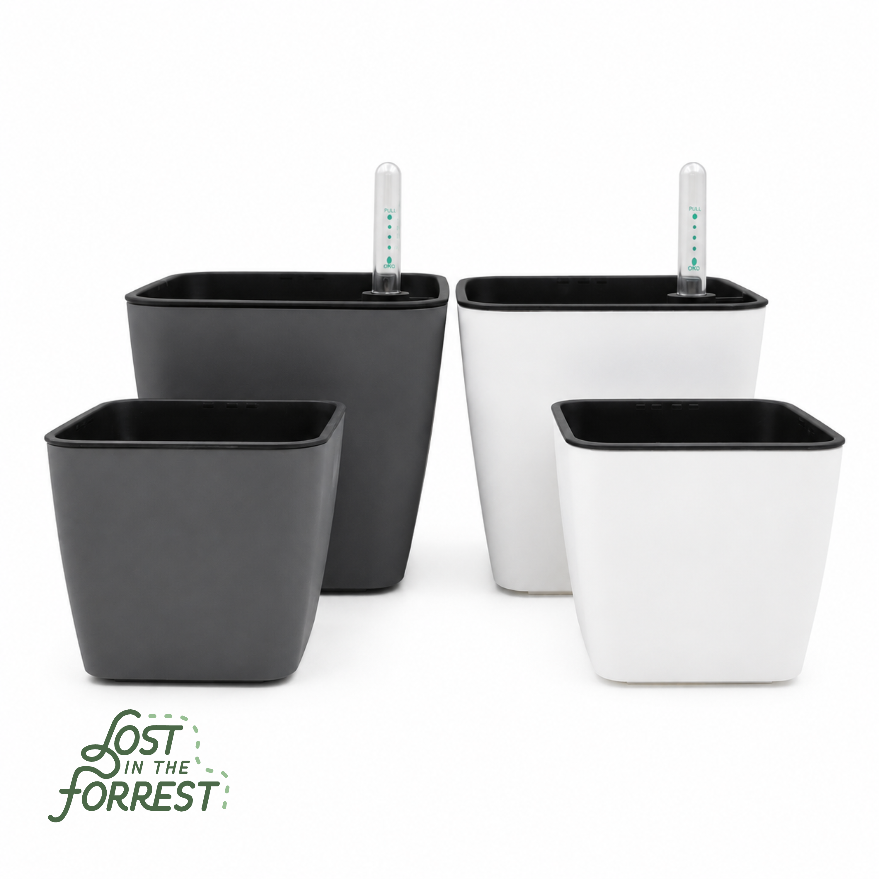 Self-Watering Pot