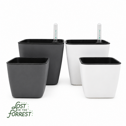 Self-Watering Pot