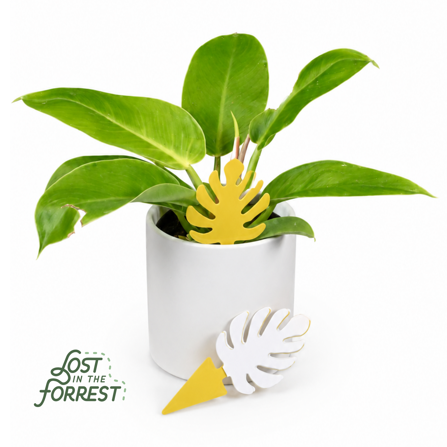 Leaf Sticky Traps (Pack of 10)