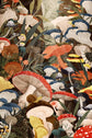 1000 PIECE PUZZLE Woodland Mushrooms Collage