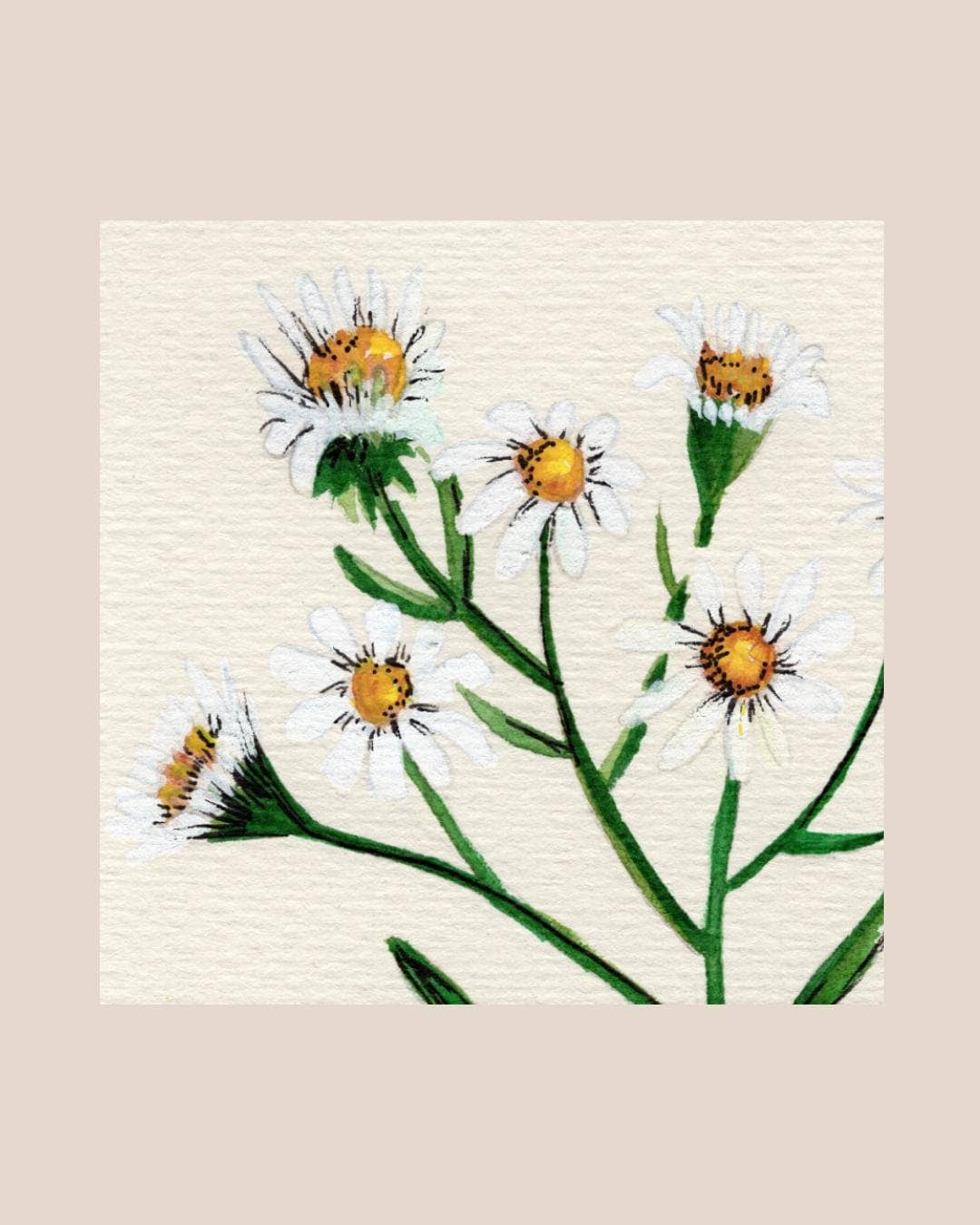 Wildflower Watercolor Print Botanical Wall Art