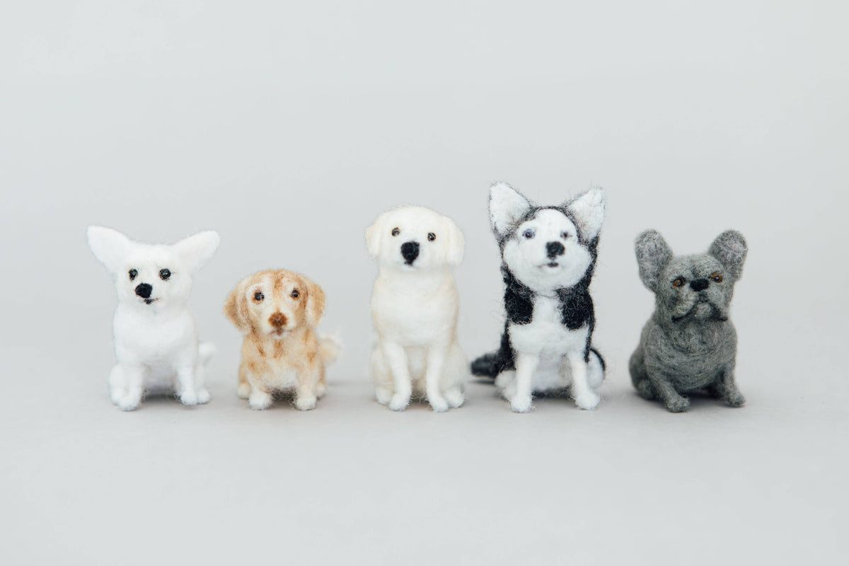 Dachshund (A Needle-Felting Kit)