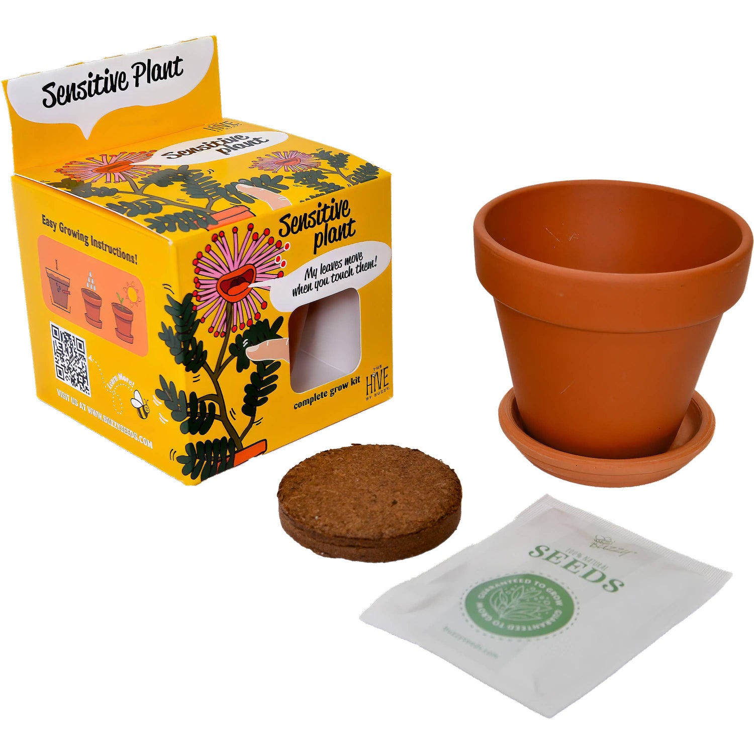 Sensitive Plant Grow Kit