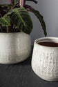 Anders Pot