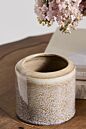 Arden Pot