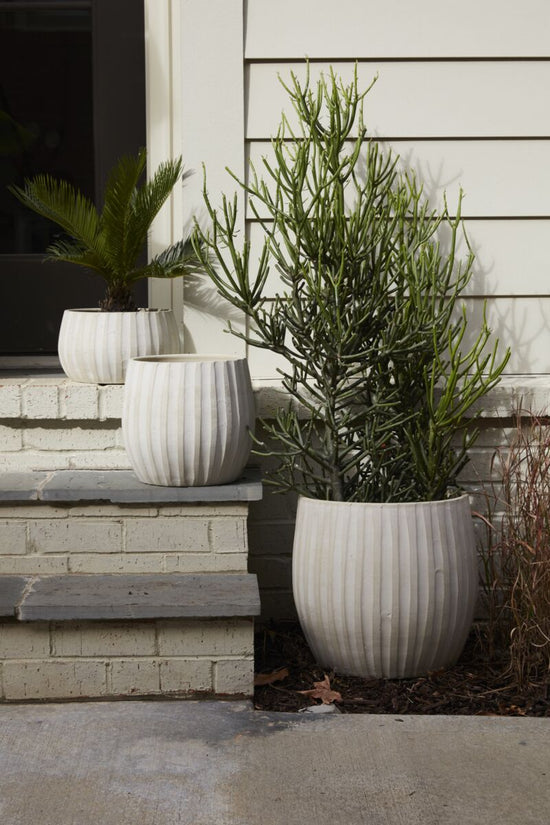 Arid Pot