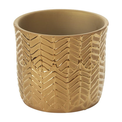 Aurum Collection