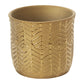 Aurum Collection