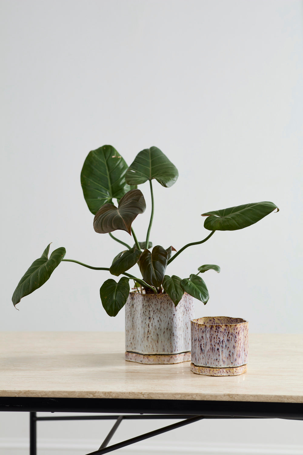 Avenell Pot with Saucer