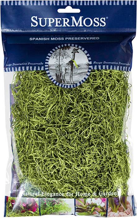 Spanish Moss – Lost in the Forrest