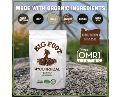 Big foot mycorrhizal fungi