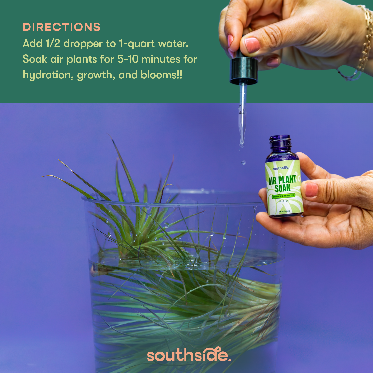 Air Plant Fertilizer: Soak