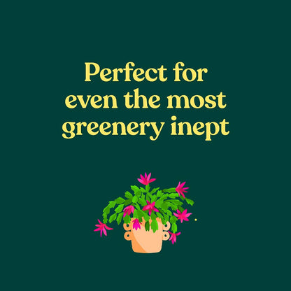 Green Dumb Guide to Houseplants