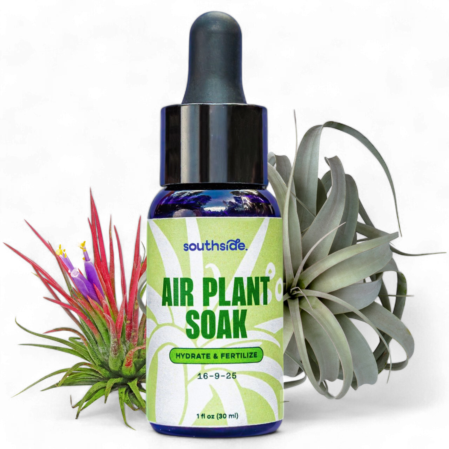 Air Plant Fertilizer: Soak