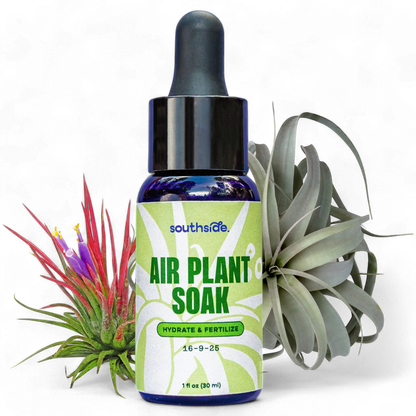 Air Plant Fertilizer: Soak