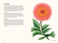 A Little Book of Flowers: Dahlias