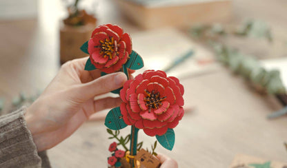 Red Camellia