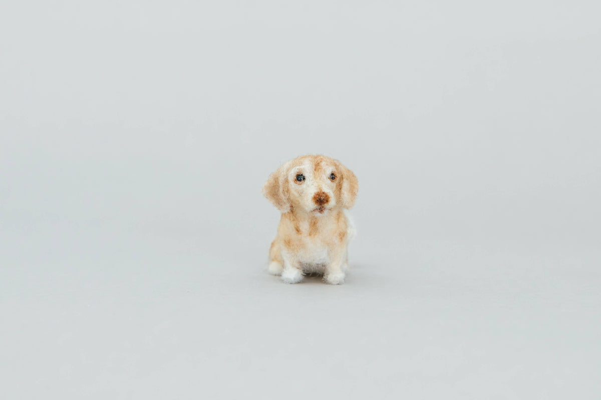 Dachshund (A Needle-Felting Kit)