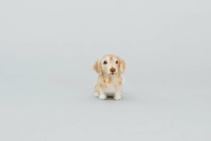 Dachshund (A Needle-Felting Kit)
