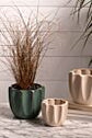Beaumont Pot