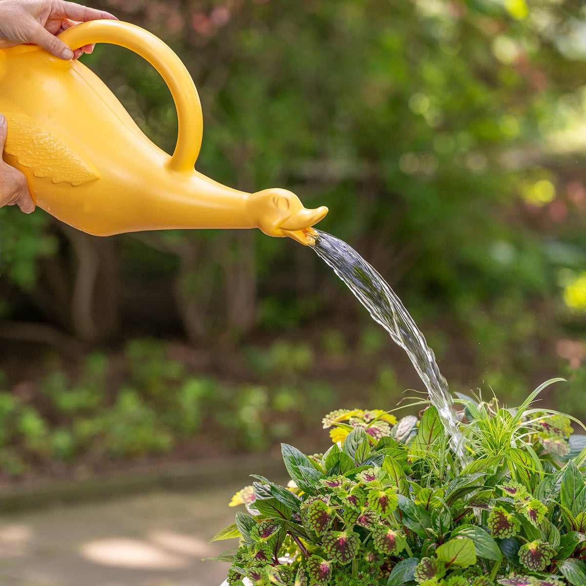 Lucky the Duck Plastic Watering Can