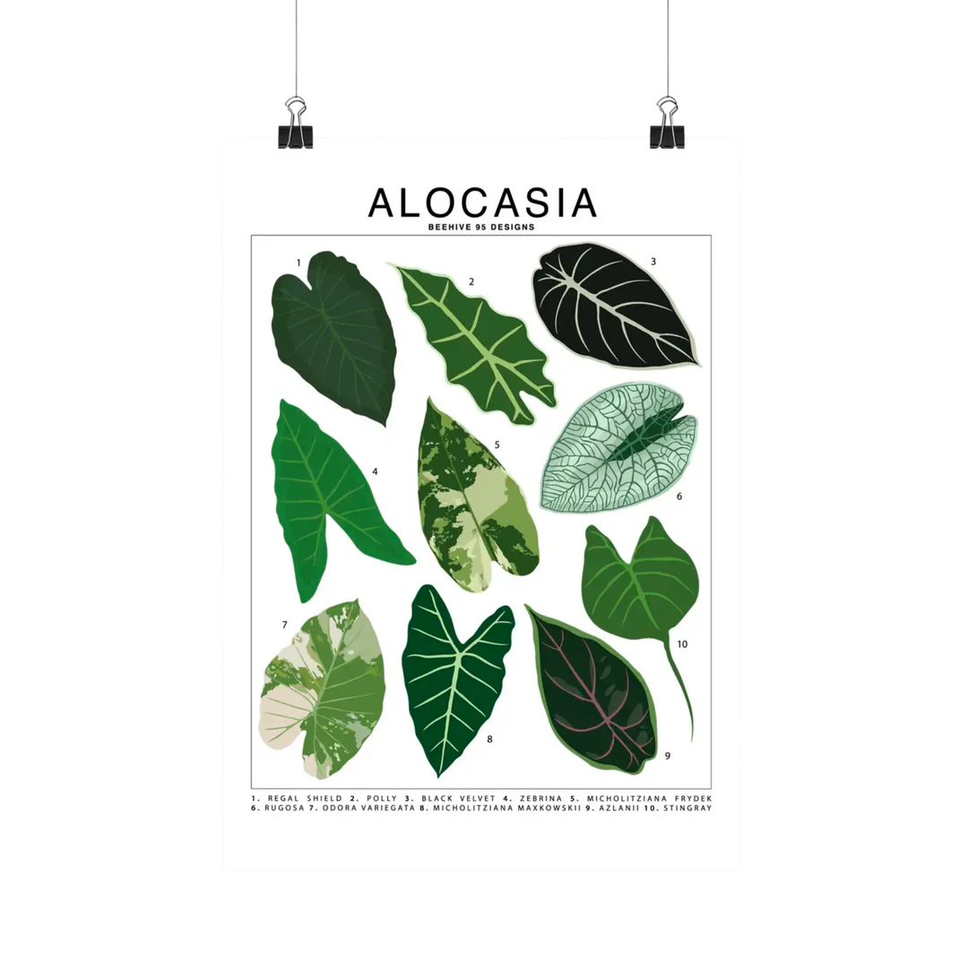 Species ID Chart - Botanical Houseplant Art Print