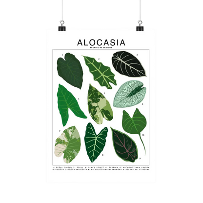 Species ID Chart - Botanical Houseplant Art Print