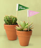 Plant Pennants