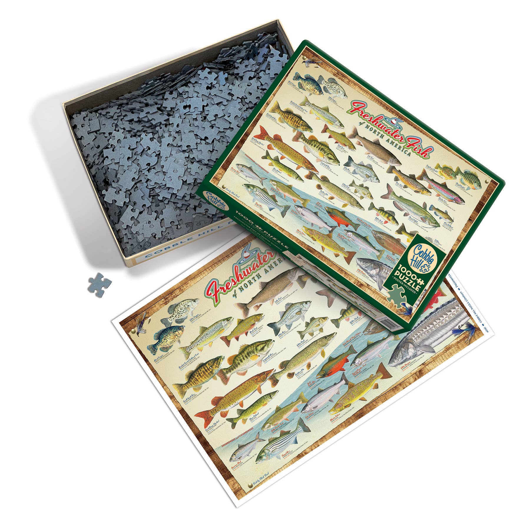 Freshwater Fish of North America Puzzle