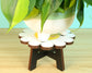 Smiling Daisy Plant Stand - Plant Holder