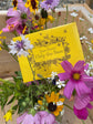 Grow Flowers Help  Bees Pollinator Mix