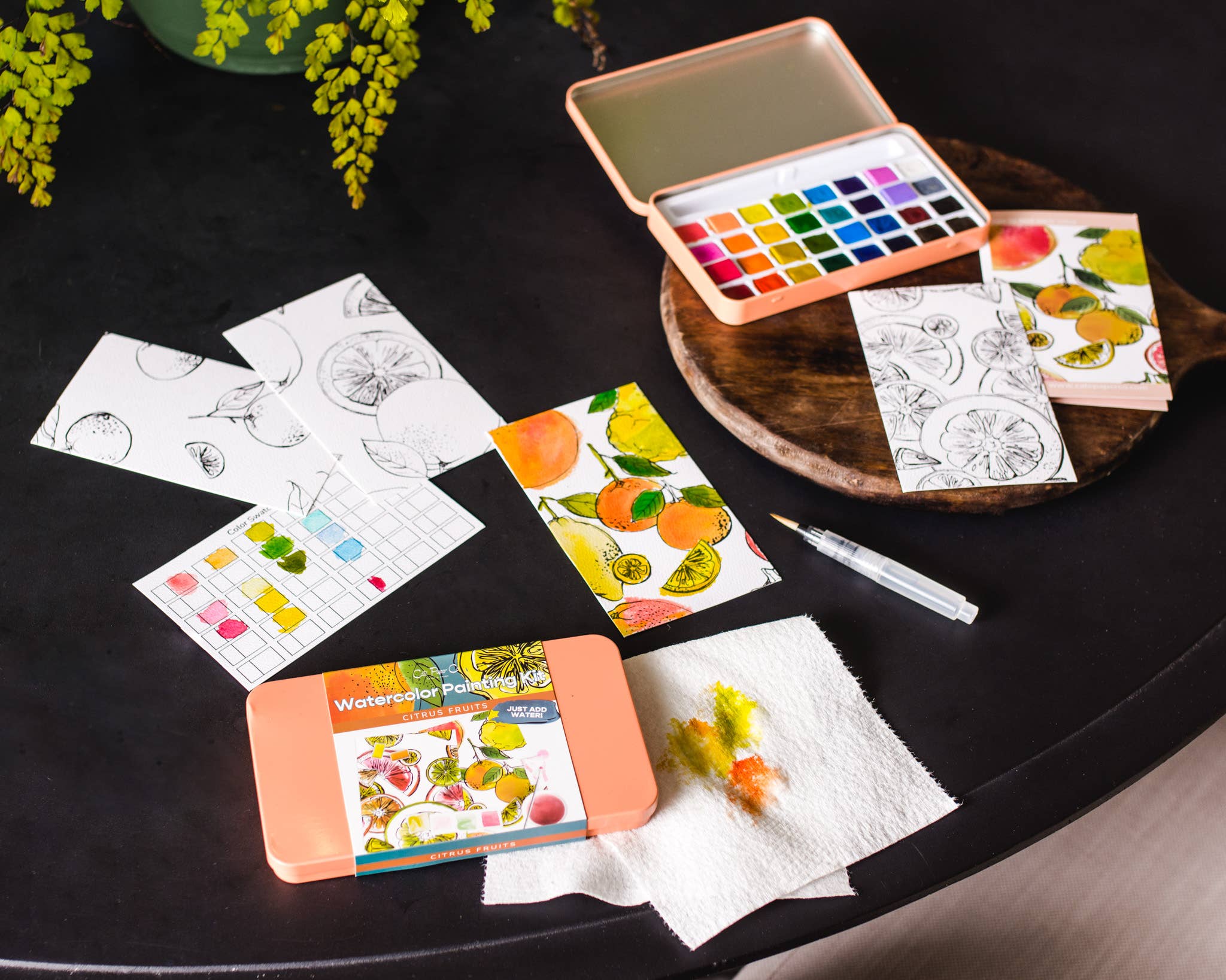Citrus Fruits watercolor painting kit