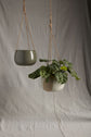 Calliope Hanging Pot